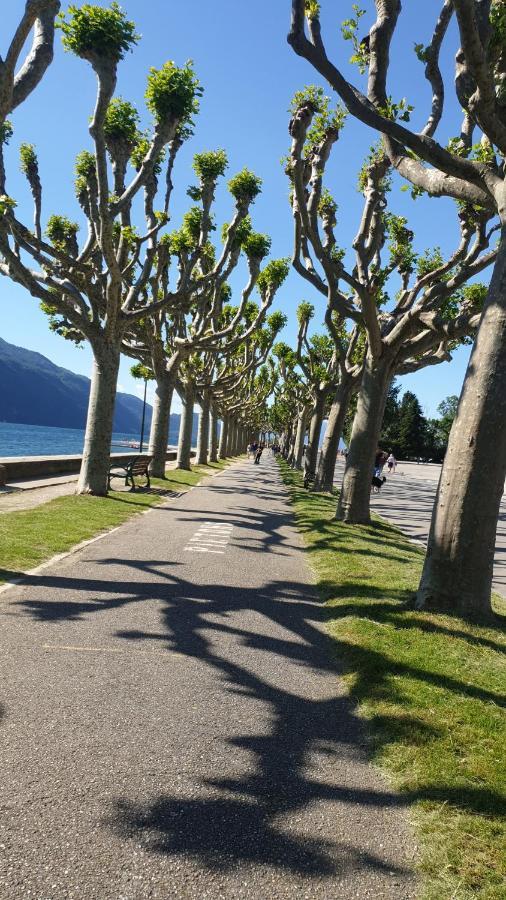 Studio Meuble Au Rdc , Proche Lac Aix-les-Bains Dış mekan fotoğraf